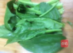 菠菜拌肝尖的做法图解7