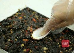 倾世仙颜手工补气血阿胶糕熬制方法的做法图解10