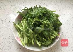 蒜蓉茼蒿的做法图解1