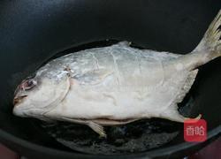 红烧鲳鱼的做法图解5