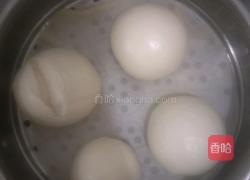 蒸馒头的做法图解4