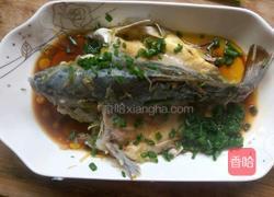 清蒸裸斑鱼的做法图解8