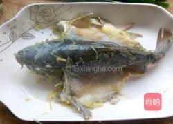 清蒸裸斑鱼的做法图解6
