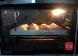 卡达仕面包(汤种)的做法图解17