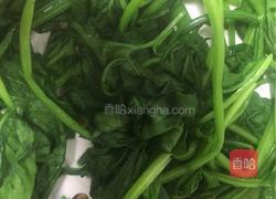 凉拌菠菜的做法图解5