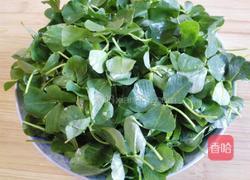 草头饼的做法图解1