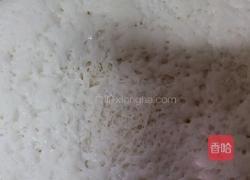 羊肉包子的做法图解5