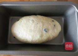 潘妮朵尼的做法图解15