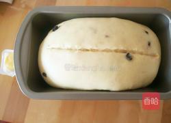 潘妮朵尼的做法图解16