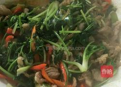 羊肉片炒香菜的做法图解11