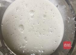 高丽肉的做法图解8