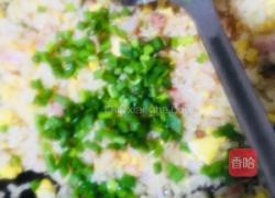 培根鸡蛋炒饭的做法图解19