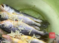 干煎小黄鱼的做法图解4