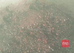 桑葚酱的做法图解4