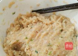 茄汁鸡肉丸的做法图解1