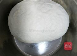 烤麸（也叫面筋）的做法图解2