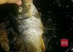 家常冻鱼的做法图解3