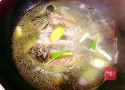 罗非鱼汤的做法图解5