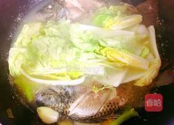 罗非鱼汤的做法图解6