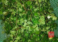 凉拌马齿笕的做法图解1