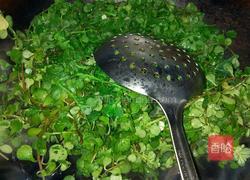 凉拌马齿笕的做法图解3