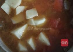 番茄牛腩煲的做法图解5