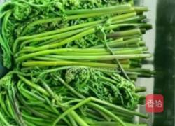 厥菜炒肉的做法图解1
