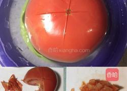 虾仁番茄螺丝面的做法图解3