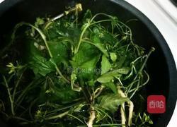 塘葛菜煲生鱼的做法图解6