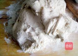 白萝卜猪肉包的做法图解25