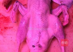 水鸭冬瓜祛湿汤的做法图解1