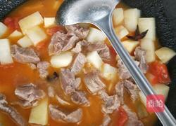 西红柿土豆炖牛肉的做法图解12