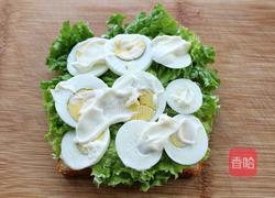 金枪鱼奶酪三明治的做法图解9