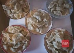 鲅鱼水饺的做法图解9