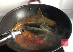 酱烧黄颡鱼的做法图解6