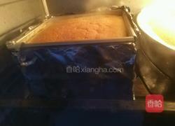 乳酪蛋糕的做法图解12