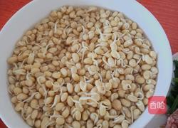 黄豆芽炒韭菜的做法图解1