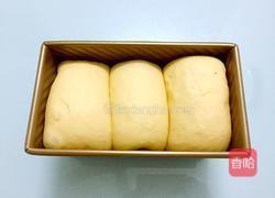 玉米吐司的做法图解14