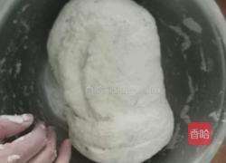 花卷山东馒头的做法图解4