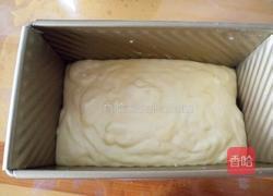 金钻吐司的做法图解15