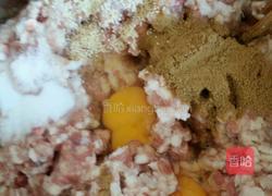 家常猪肉豆腐丸子的做法图解5