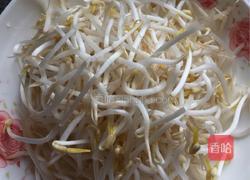 炒绿豆芽的做法图解1