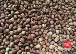 花生芝麻糖的做法图解2