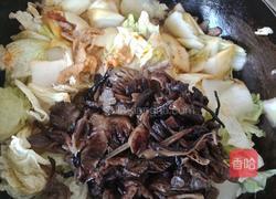 榛蘑炒菜白菜的做法图解5