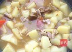 咖喱鸡肉土豆的做法图解6