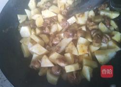 土豆烧肥肠的做法图解7
