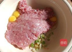 鹌鹑蛋肉丸的做法图解9