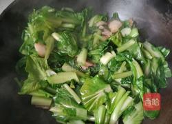 冻豆腐炖小白菜的做法图解4