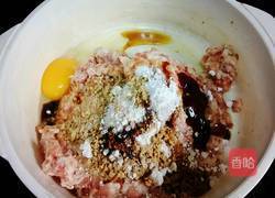 狮子头的做法图解3