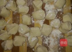 家常猪肉馅饺子的做法图解4